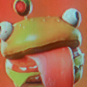 Meet your Posher, Nancy